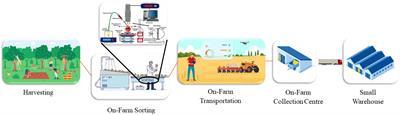 Advancement in artificial intelligence for on-farm fruit sorting and transportation